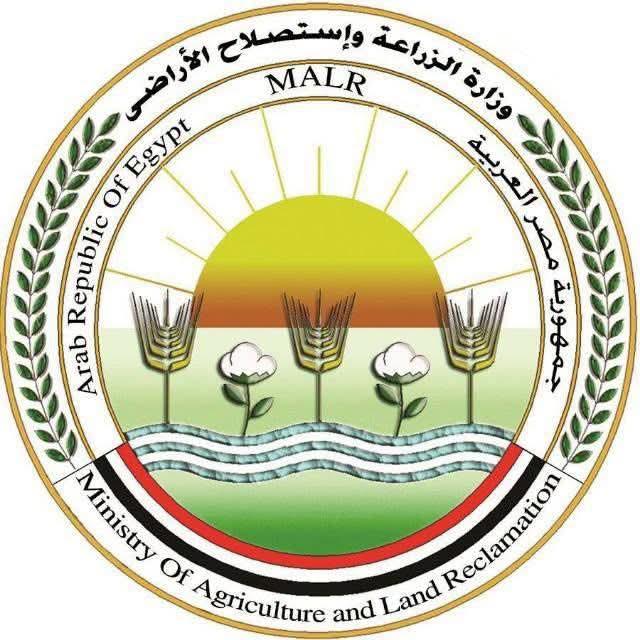 خطة وطنية لإدارة حيوانات الشارع وحظر القتل