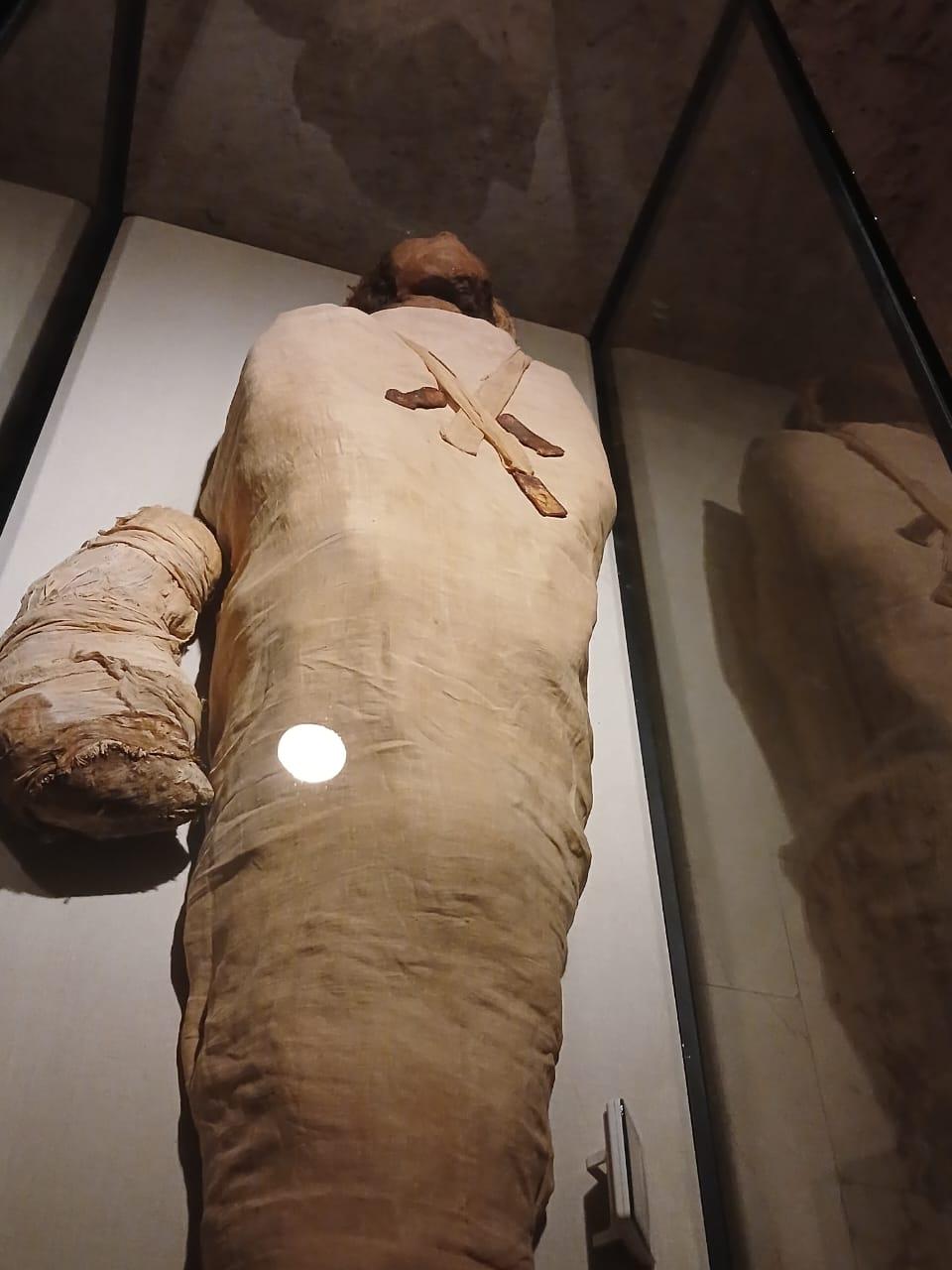 صورة