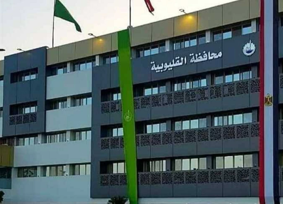 استجابةً لطلباتهما.. تسليم كرسيين كهربائيين لاثنين من ذوى الهمم فى القليوبية