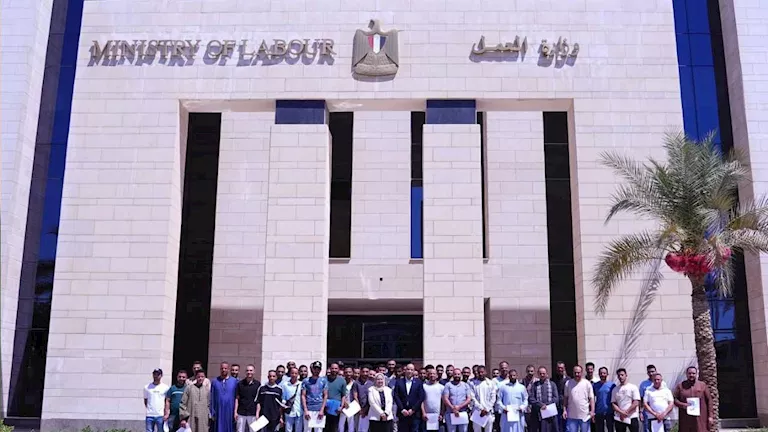 "الزراعة" تمول مشروع البتلو بـ80.9 مليون جنيه لتربية 1148 رأس ماشية
