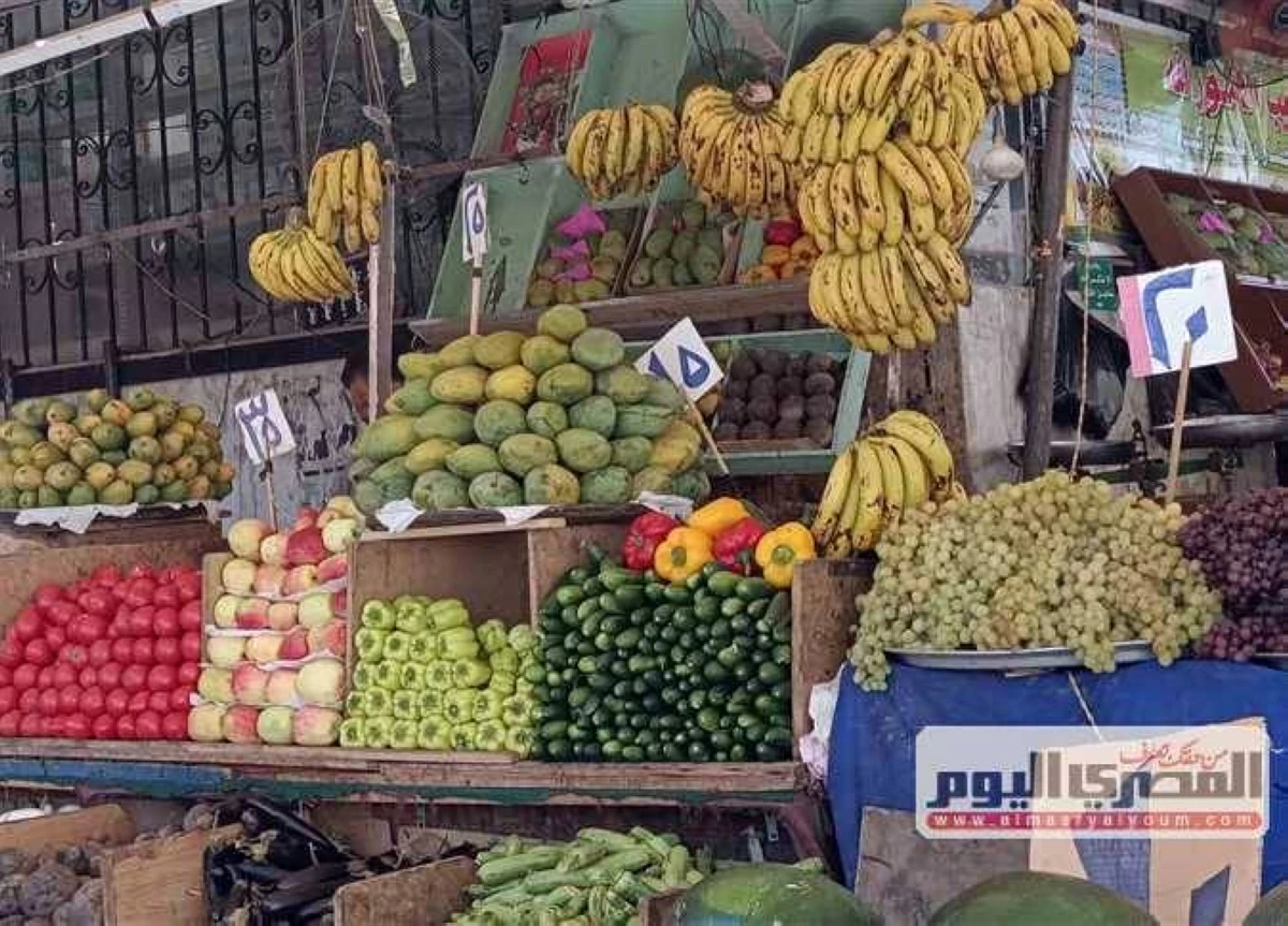 سعر الطماطم والبطاطس والفاكهة بأسواق الشرقية اليوم السبت 27 يونيو 2026