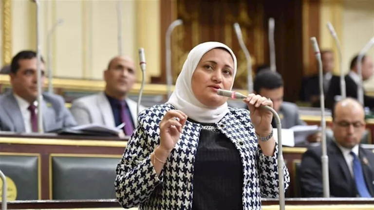تحرك برلماني لإنهاء أزمة تسويات المعلمين طبقًا للقرار 160 لسنة 2024