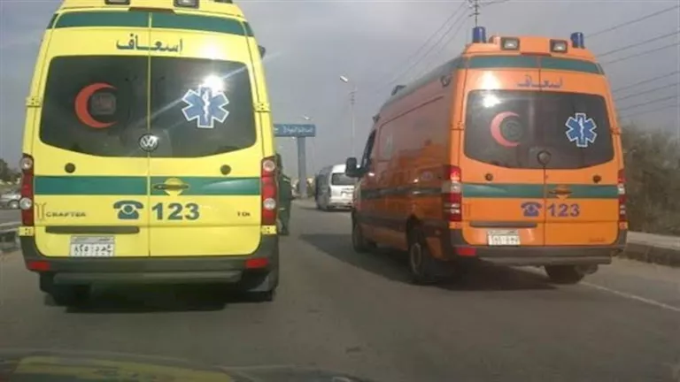 بينهم 4 أطفال.. 7 مصابين في انقلاب سيارة نقل على الصحراوي الشرقي بسوهاج