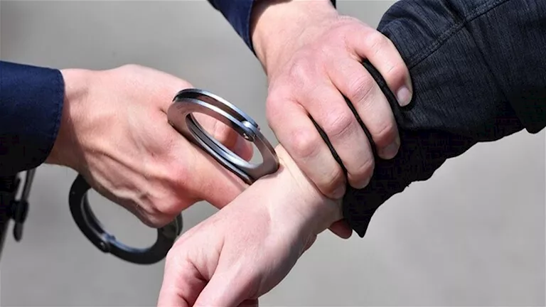 أهدروا نصف مليار جنيه.. إحالة 5 موظفين بضرائب الفيوم للتأديبية