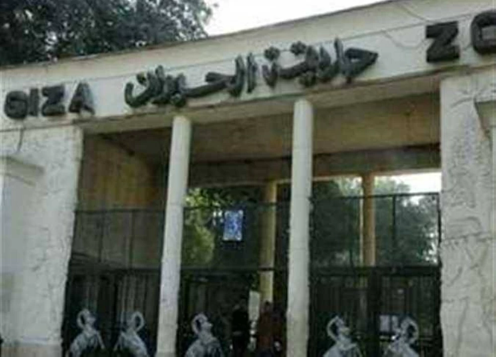 رسميًا بعد تطويرها.. موعد افتتاح حديقة الحيوان بالجيزة وخطة تجديدها وربطها بالأورمان