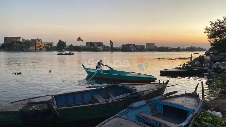 "جماجمون" بكفر الشيخ.. قصة قرية عريقة صنعت العلماء وتُعاني غياب الخدمات (صور)