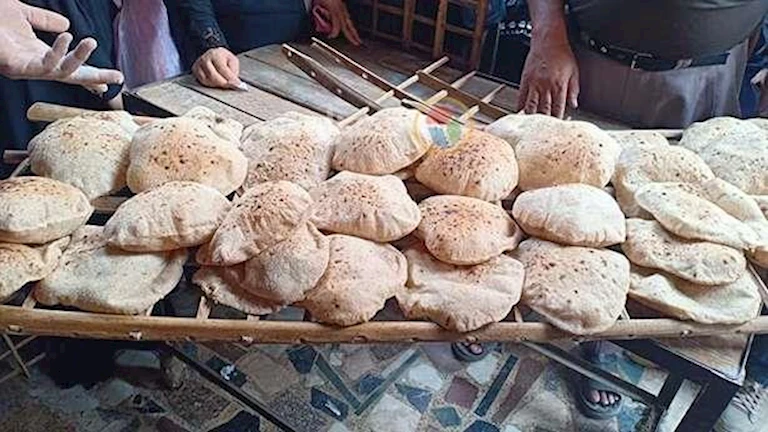 الشعبة: تأجيل الدعم النقدي للخبز والخصم المباشر لحين اعتماده رسميًا