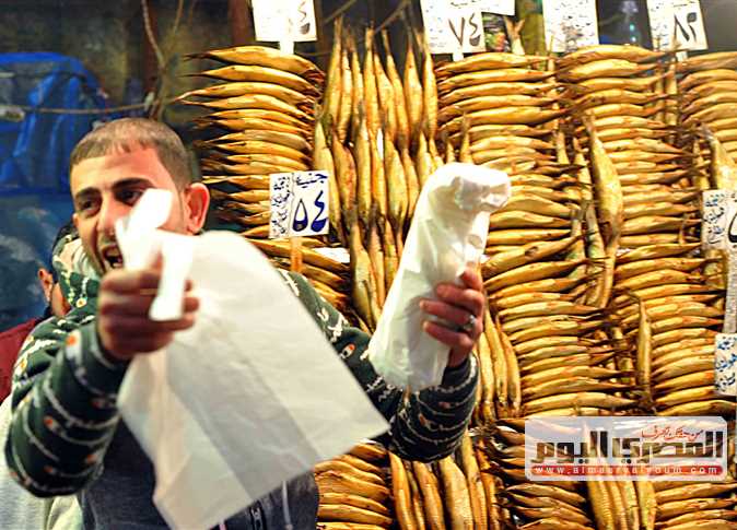 بزيت الزيتون والطحينة.. الرنجة «على الطريقة المطروحية» في العيد