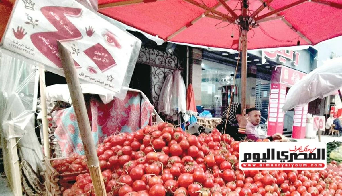 سعر الطماطم والبطاطس والخضار في الأسواق اليوم الثلاثاء 30 يونيو 2026