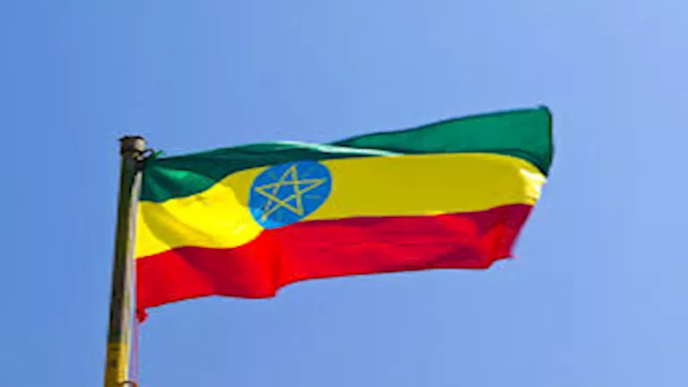 هل تعتبر إثيوبيا إعلان العلمين موجهًا ضدها؟.. خبيرة في الشؤون الإفريقية توضح