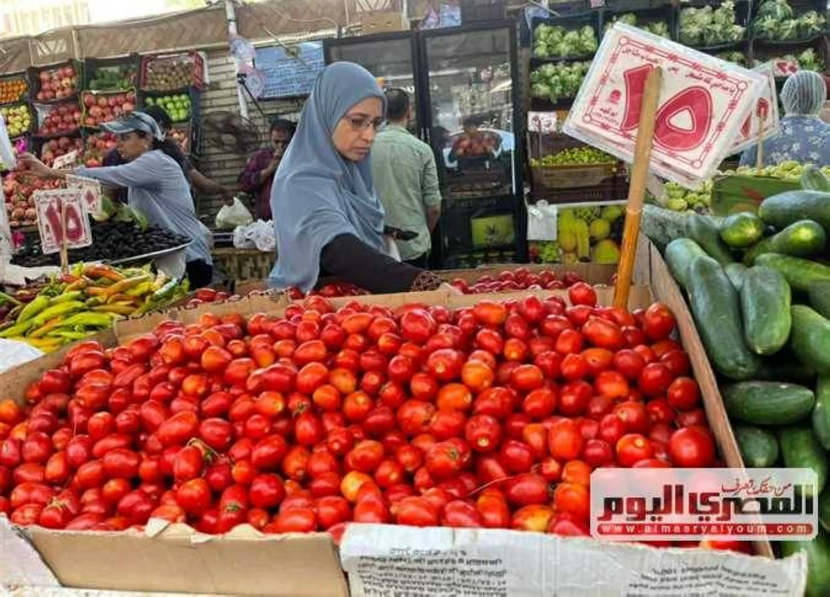 سعر الطماطم والبصل والفاكهة بأسواق الشرقية اليوم السبت 4 يوليو 2026