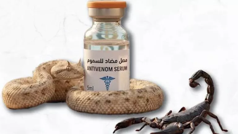 وصول دفعة جديدة.. أماكن توافر مصل لدغات الثعابين والعقارب بجنوب سيناء