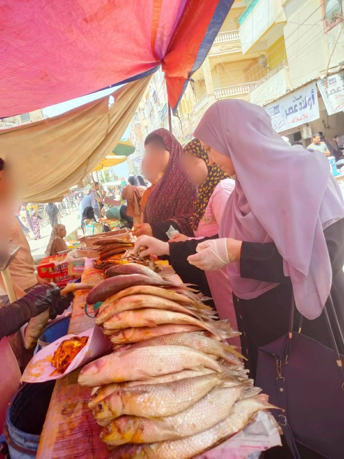 ضبط ربع طن أسماك مملحة فاسدة في سوق الرياض الأسبوعي بكفر الشيخ