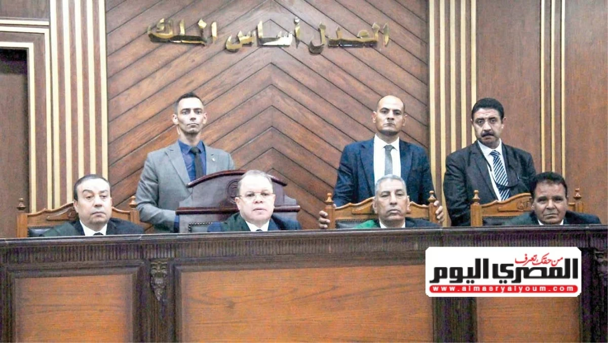 حيثيات إدانة «بيطري» بالسجن المشدد لارتكابه جريمة إرهابية