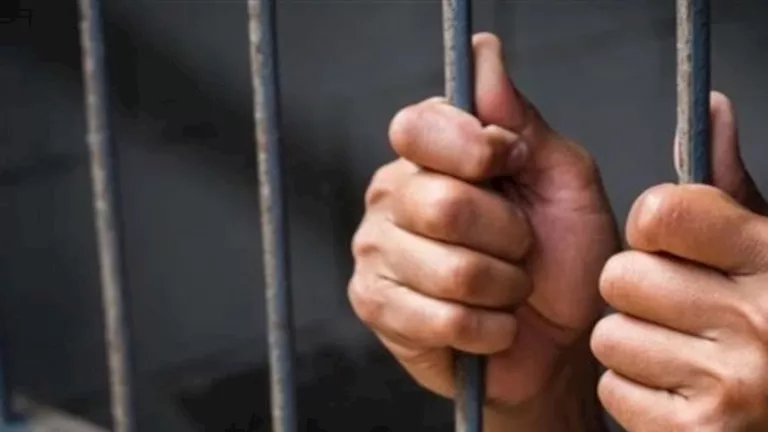 بسبب "طاقم دبرياج".. السجن 3 سنوات لمتهمين بالشروع في قتل شقيقين بأسيوط