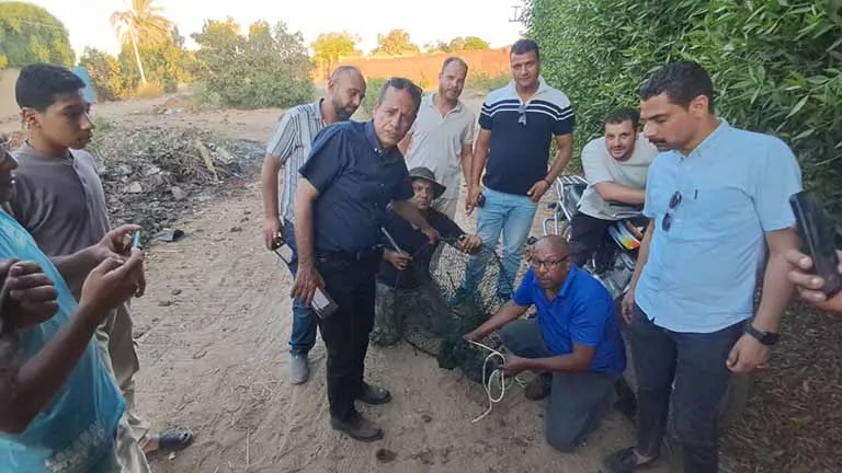 نهاية الجدل.. العثور على تمساح شبرامنت داخل مصرف حوض الجنينة -(صور)