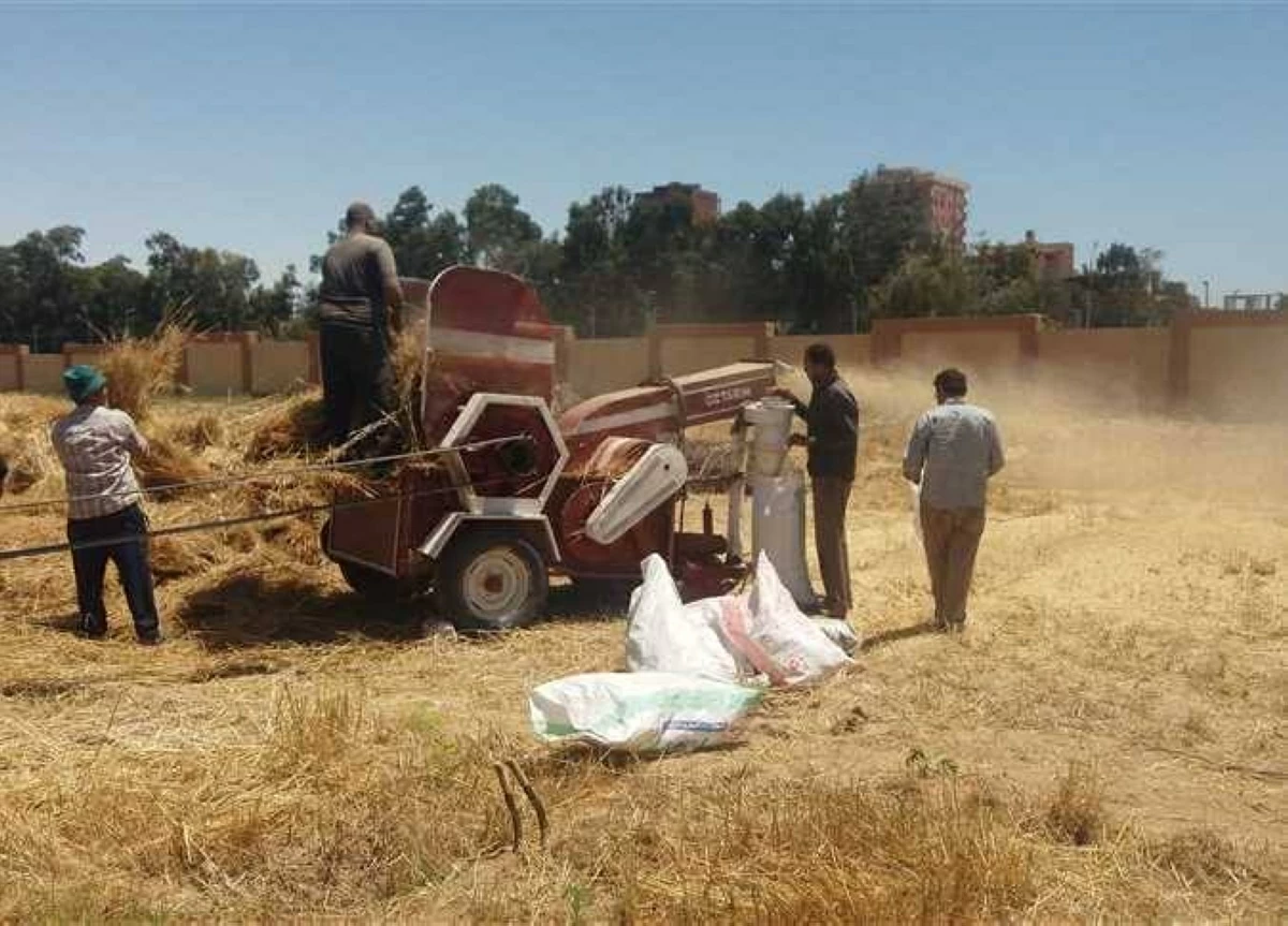 إصابة مزارع ستينى ببتر فى الذراع أثناء عمله على «دراسة» بالدقهلية
